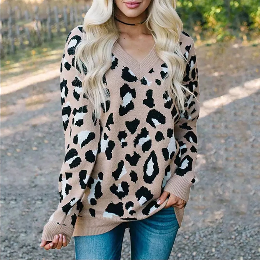 Sale! Leopard V Neck Sweater in Taupe - Picture 2 of 7